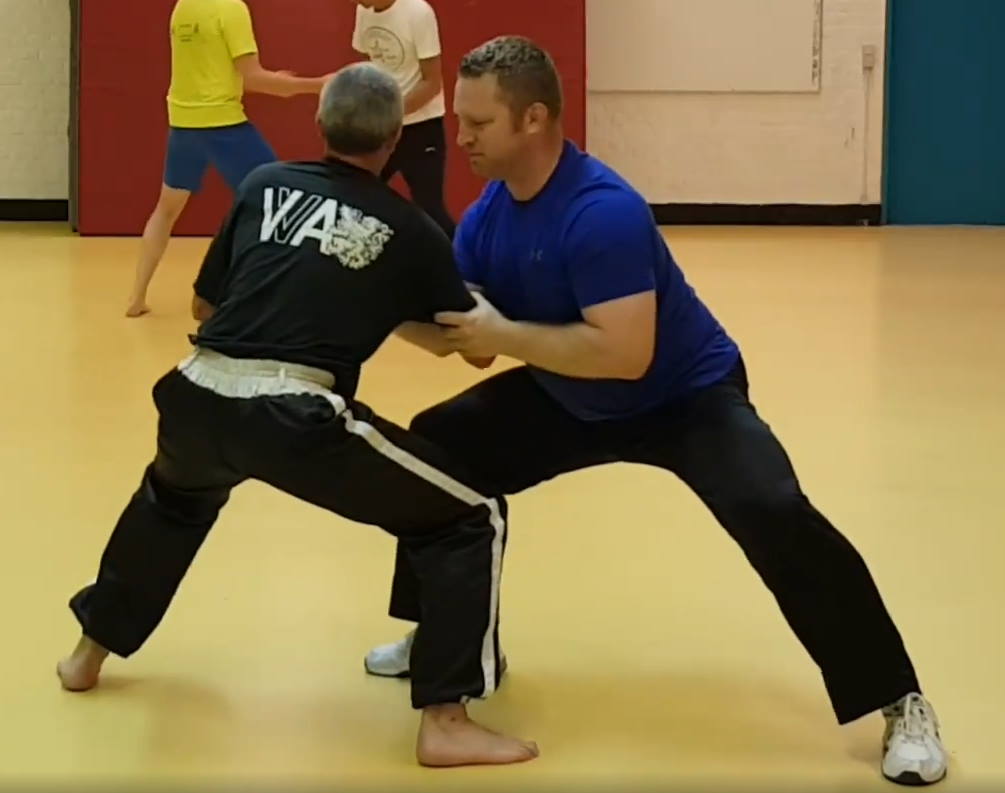 online tai chi chuan pushing hands for self-defense